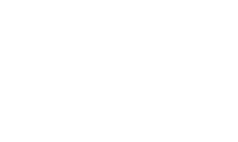 Homi
